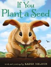 If You Plant a Seed