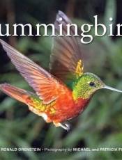 Hummingbirds