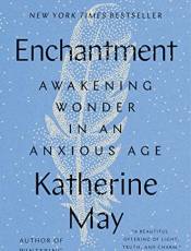 Enchantment: Awakening Wonder in an Anxious Age