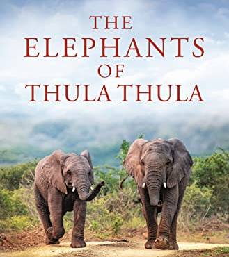 The Elephants of Thula Thula (Elephant Whisperer, Bk. 3)