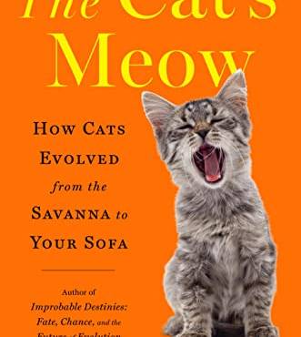 The Cat's Meow: How Cats Evolved From the Savanna to Your Sofa