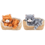 7" SNUGGLEN SNOOZE KITTEN