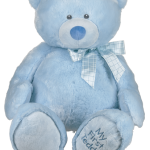 25' My First Teddy