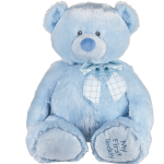 19' My First Teddy