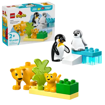 Wild Animal Families: Penguins & Lions - Image 3