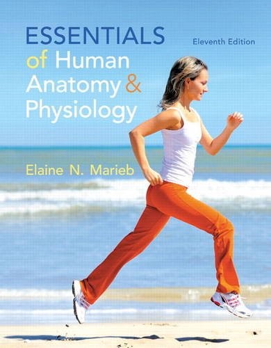 Essentials of Human Anatomy & Physiology