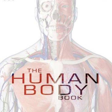 The Human Body Book
