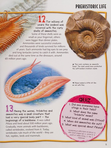 Wild about Dinosaurs