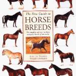 The New Guide to Horse Breeds