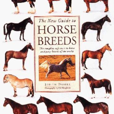 The New Guide to Horse Breeds