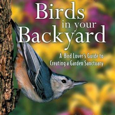 Birds in Your Backyard