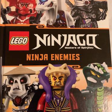 ninja enemies